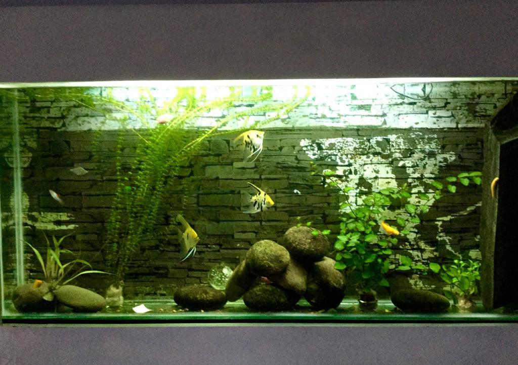 Ha My Guesthouse Da Nang Esterno foto